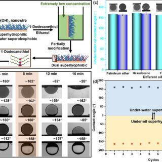 Pdf Bioinspired Under Liquid Dual Superlyophobic Surface For On