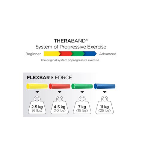 Εξοπλισμός Γυμναστικής | Thera-Band Flexbar Blue - medicin.gr