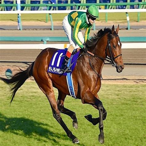 近親に名馬がズラリ 良血サトノダイヤモンド産駒がルメール騎手でデビュー 2023年10月20日掲載 ライブドアニュース