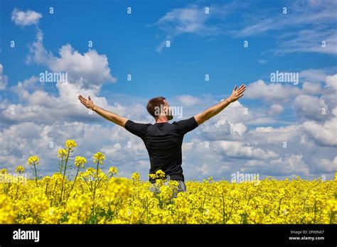 El hombre feliz se encuentra en un campo amarillo regocijándose levanta