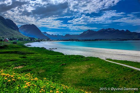 Wallpaper Landscape Sea Flowers Bay Hill Lake Nature Shore