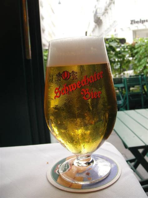 Schwechater, Vienna Austria | Drinking beer, Beer, Pilsner glass