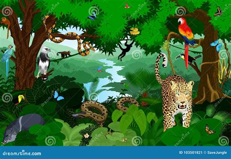 Rainforest with Animals Vector Illustration. Vector Green Tropical ...