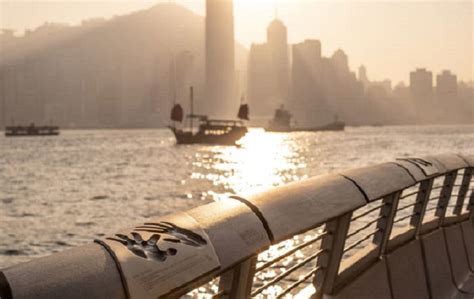 avenue  stars continues  shine retail  asia