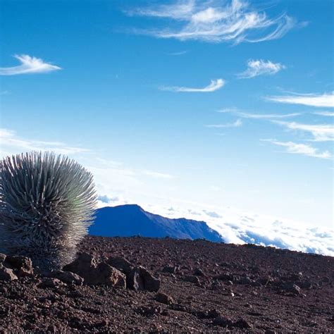 Wandeling House Of The Sun Priv Tour Doets Reizen