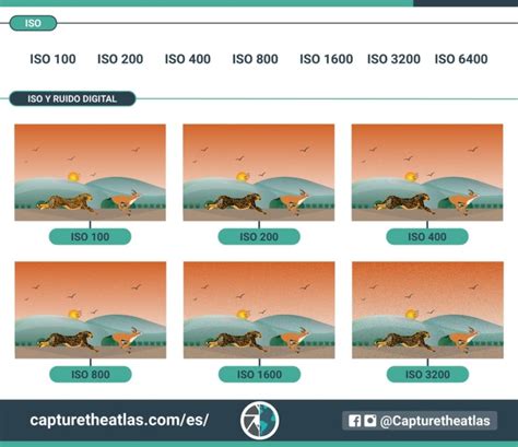 Qué Es El Iso En Fotografía Guía Completa Para Entender El Iso