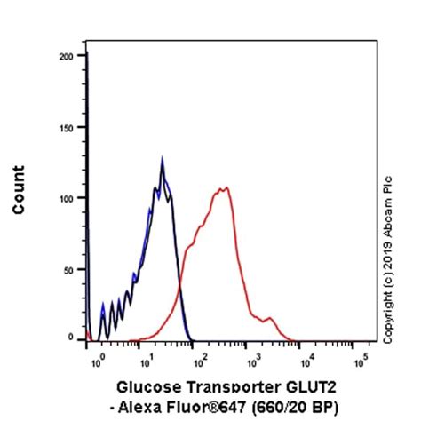 Recombinant Anti-Glucose Transporter GLUT2 antibody [EPR22946-74] (ab234440)