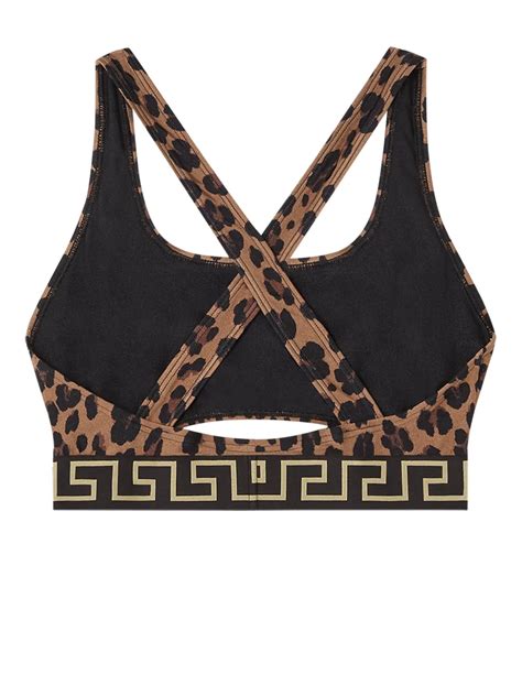Versace Greca Trim Leopard Print Bikini Top Brown FARFETCH