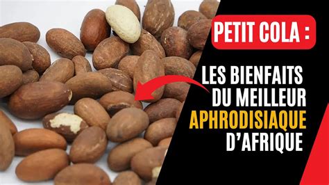 TOUT SAVOIR SUR LE PETIT COLA L APHRODISIAQUE LE PLUS EFFICACE D