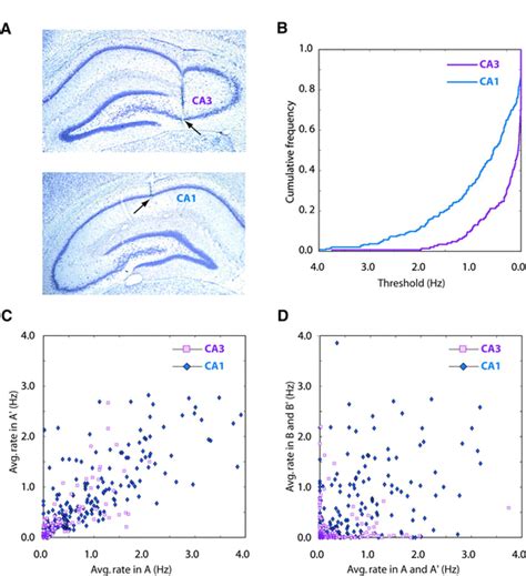 Distinct Ensemble Codes in Hippocampal Areas CA3 and CA1 | Science 