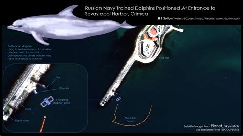 Trained Russian Navy Dolphins Are Protecting Black Sea Naval Base