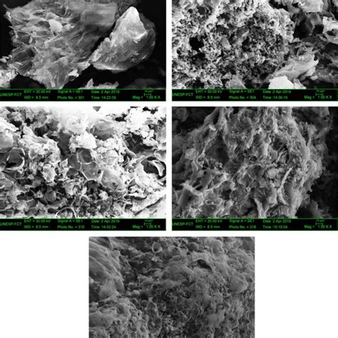 Scanning electron microscopy image with 1000 × magnification. a PF. b ...