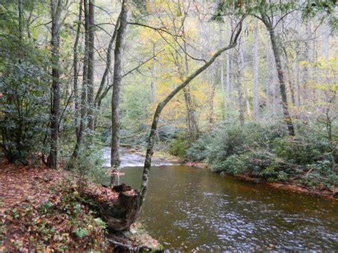 Cataloochee Campground Reviews Great Smoky Mountains National Park