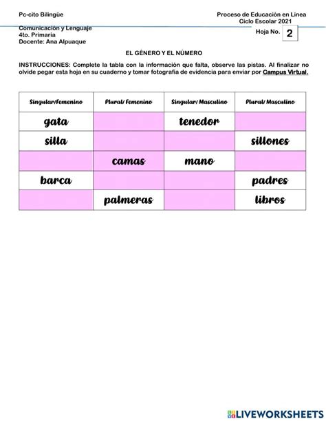 El Sustantivo El Género Y El Número Worksheet Live Worksheets