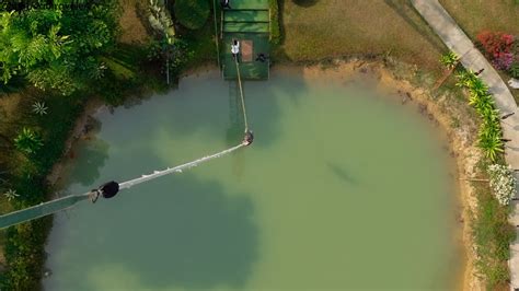 The Ultimate Bungee Jumping Tips for First Timers