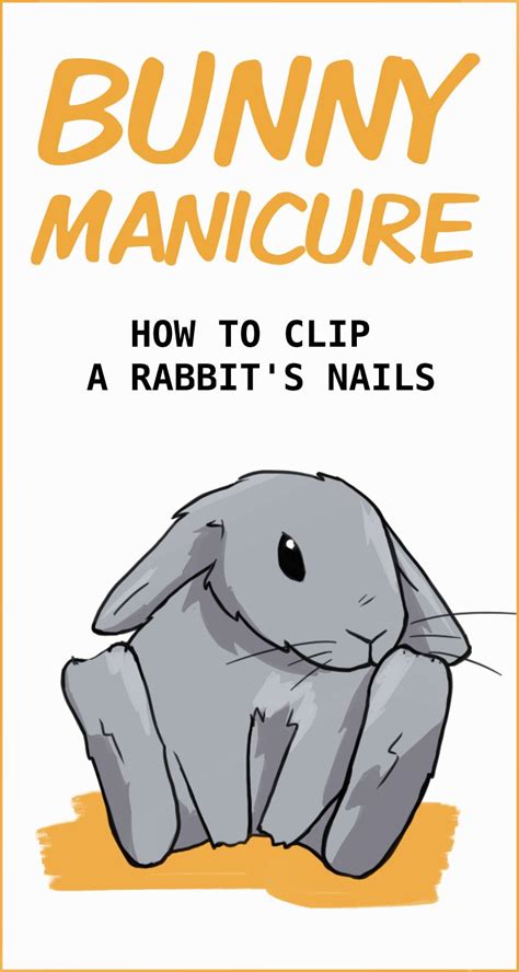 How To Clip A Rabbits Nails Pet Bunny Rabbits Bunny Mom Bunny Care