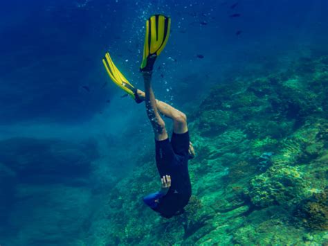 Snorkeling Cano Island Costa Rica Dive And Surf