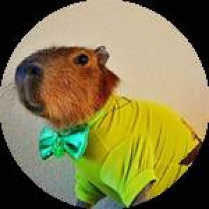 Capybara Roblox