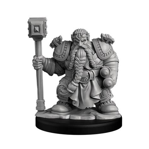 Dwarf Paladin – Next Level Miniatures