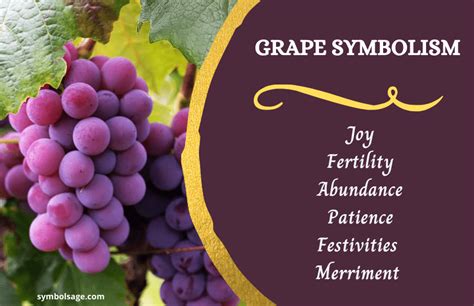 Grapes - Meaning and Symbolism - Symbol Sage