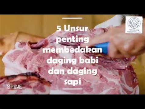 Awas Jangan Tertipu Tips Cara Membedakan Daging Babi Vs Daging Sapi