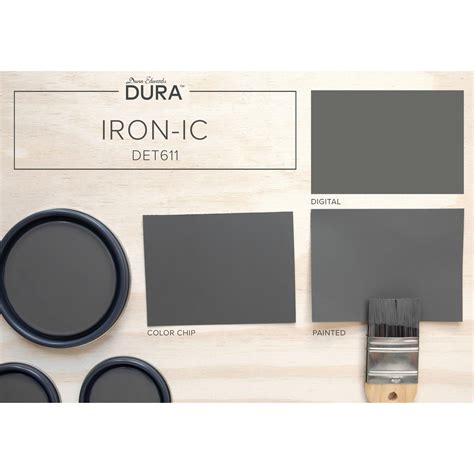 Iron Ic Charcoal Paint Color Dura