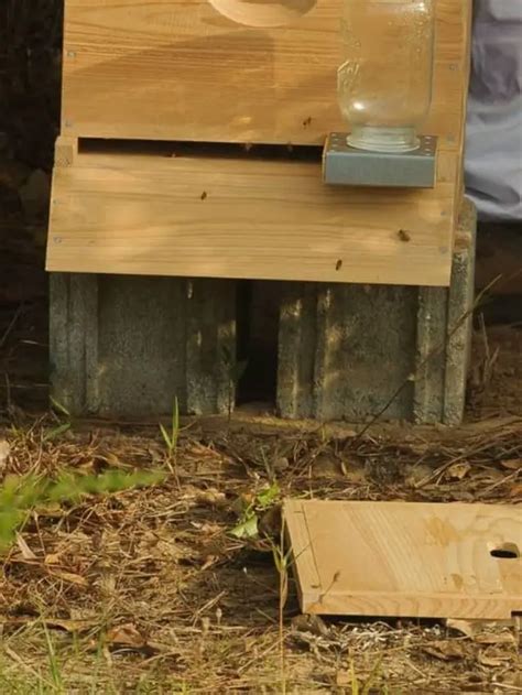 How To Make A Beehive Inner Cover The Simplest Route Beekeeper Tips