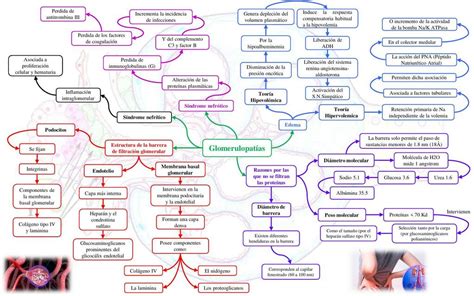 Esquema de Glomerulopatías LiquidOH uDocz