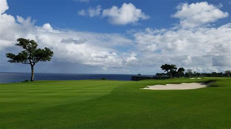 Paspalum Is The Sustainable Turfgrass Solution For Golf And Sports Fields