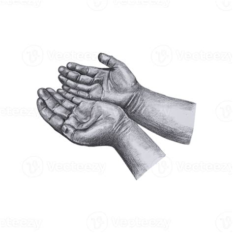 Hand Drawn Hands Png