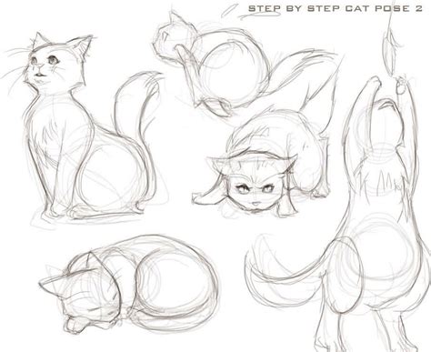 Cute Cat Drawing Reference Cats Anime Drawing