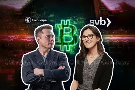 Ark Invest Sells Coinbase As Cathie Wood Talks Bitcoin Tesla Ai With