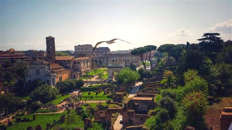 Roman Forum Virtual Tour: Inside Ancient Rome - Through Eternity Tours