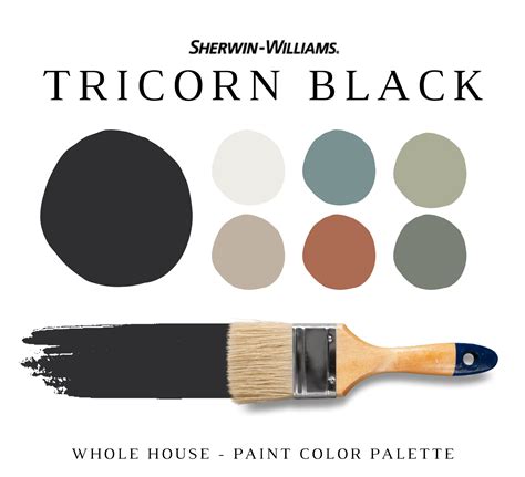 Sherwin Williams Tricorn Black Color Palette Nish