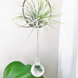 Suncatcher Air Plant Hanger Suncatcher Crystal Prism Air Plant Holder