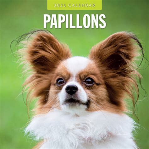 Buying Papillon Calendar Easy And Fast Online Ordering