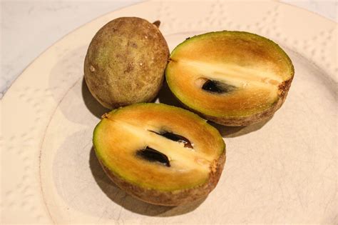 Cannundrums: Sapodilla