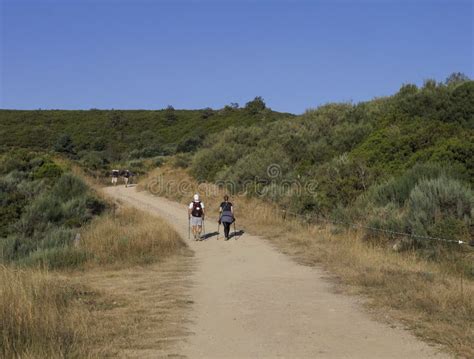 Pilgrims Walking In The Camino De Santiago The Way Of Saint James