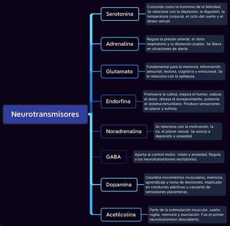 Neurotransmisores Esquema Neurotransmisores Serotonina GABA