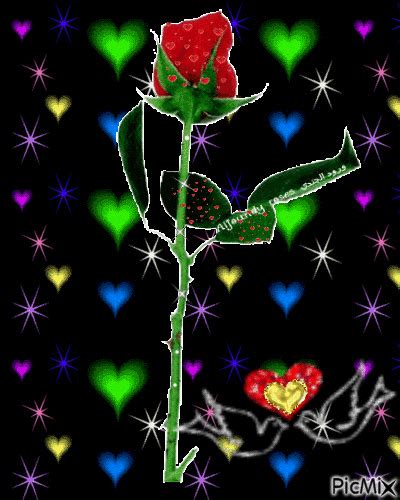 Image Of Love Rose Gif - Infoupdate.org