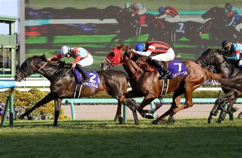 【武田の土曜競馬コラム・京王杯スプリングc】 日刊ゲンダイ競馬