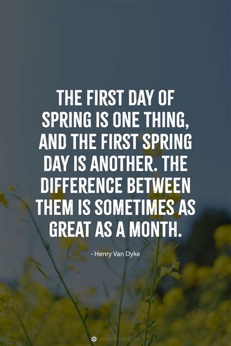 68 Quotes About Spring (With Beautiful Images) - Bright Drops