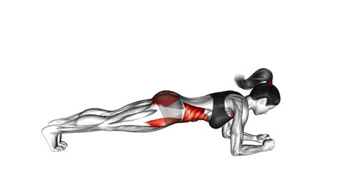 Front Plank (female): Ultimate Video Guide & Expert Tips