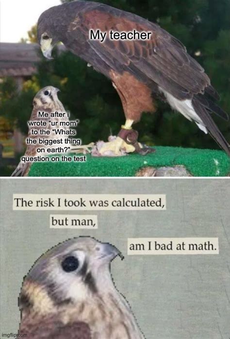 The Risk I took was calculated, but man, am I bad at Math Latest Memes ...