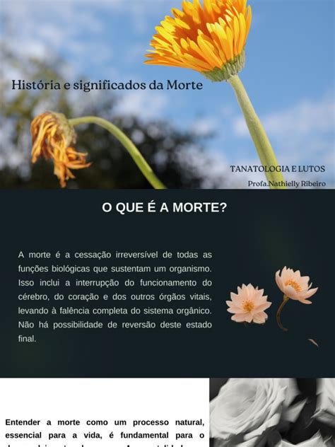 AULA 01 Historia e Significados Da Morte | PDF