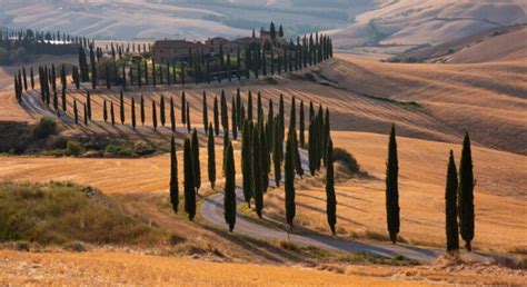 Tuscany Road Trip The Perfect Day Tuscany Itinerary Eternal Arrival