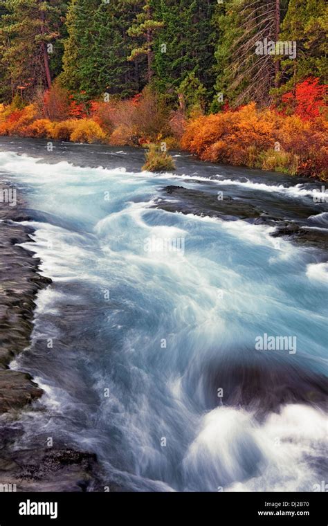 Central Oregons Wild And Scenic Metolius River Rushes Over Wizard