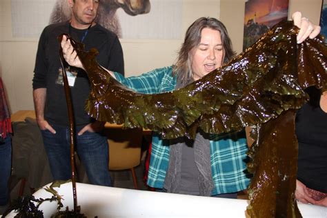 Blog National Seaweed Hub