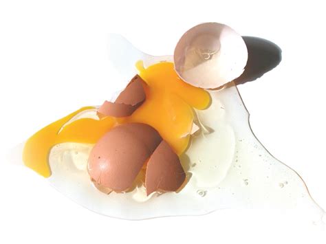 egg smashed Free Photo Download | FreeImages