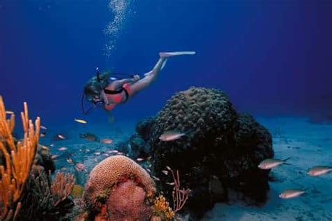 Looe-key-dive-trip » Looe Key Snorkeling And Diving